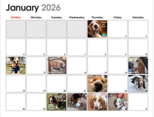 2026 BRBR Calendar
