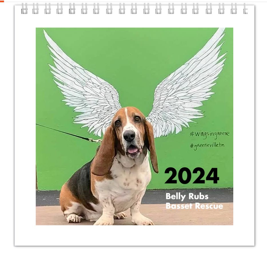 2024 BRBR Calendar