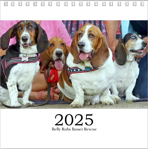 2025 BRBR Calendar