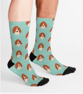 Red and White Basset Socks on Turquoise